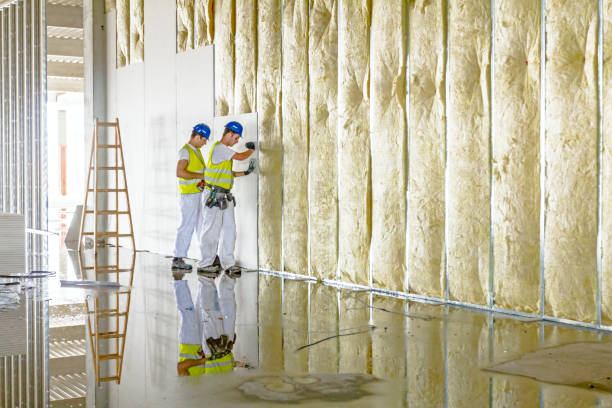 Best Specialized Insulation Services in Pheasant Run, OH